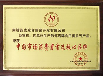 中国市场消费者首选放心品牌