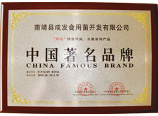 中国著名品牌