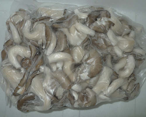 出口精品美平菇